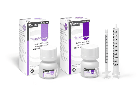 libro de endocrinologia veterinaria